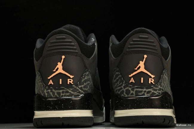 Jordan 3 (2023) CT8532-080 Retro Fear 0131